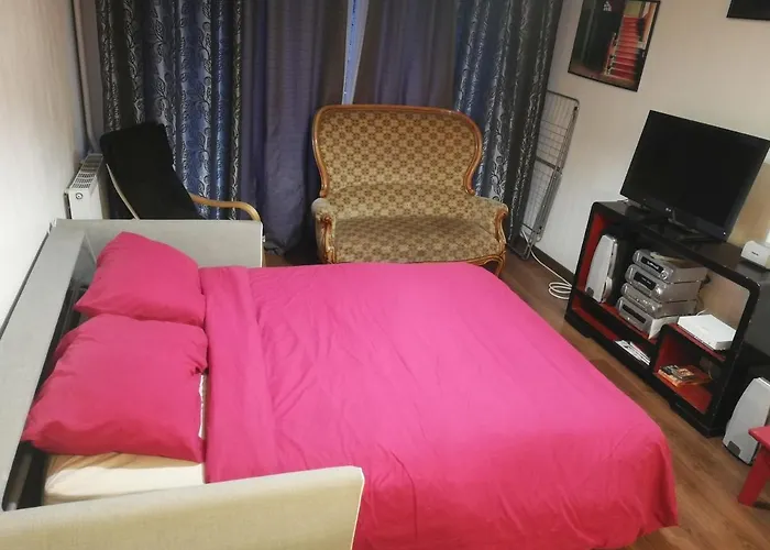 Appartement T2 Hyper Centre Le Mans